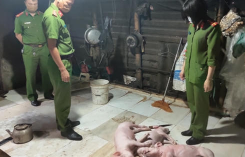 Kinh hoàng: Lợn chết không rõ nguồn gốc được mua về quay bán cho khách tại Hà Tĩnh