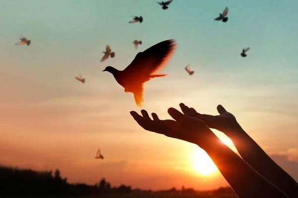 Hãy học cách rộng lượng để tâm hồn được thanh thản