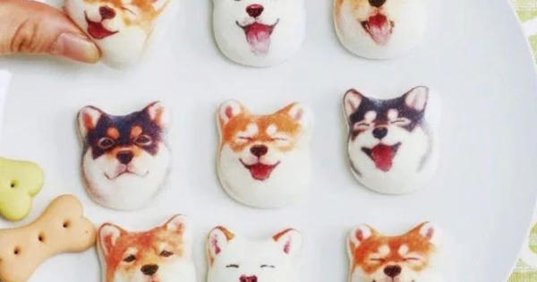 Quà lạ 8/3: Bộ mặt chó shiba 9 biểu cảm gây sốt thị trường