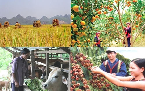 Phát triển kinh tế phải đi đôi với công bằng xã hội