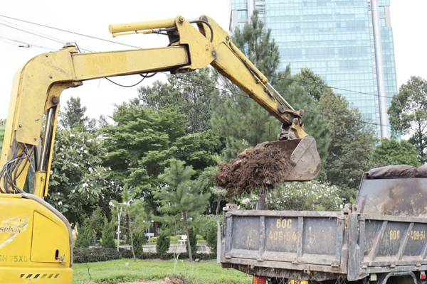 Nâng cấp công viên Lam Sơn tạo điểm đến xanh mang ý nghĩa lịch sử Nâng cấp công viên Lam Sơn tạo điểm đến xanh mang ý nghĩa lịch sử