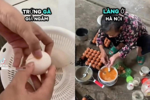 Xôn xao thông tin về trứng gà giả, hiệp hội Gia cầm Việt Nam đề nghị xử lý nghiêm