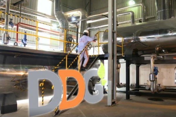 Công ty Xuất nhập khẩu Đông Dương bị phạt gần 700 triệu đồng