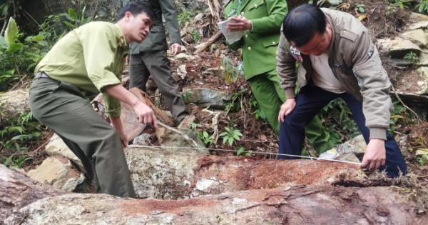 Lai Châu: Tăng cường công tác quản lý, bảo vệ rừng, phòng cháy, chữa cháy rừng