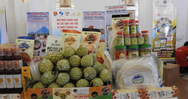 Đồng Nai: Tôn vinh sáng tạo, tăng cường hoạt động sở hữu trí tuệ