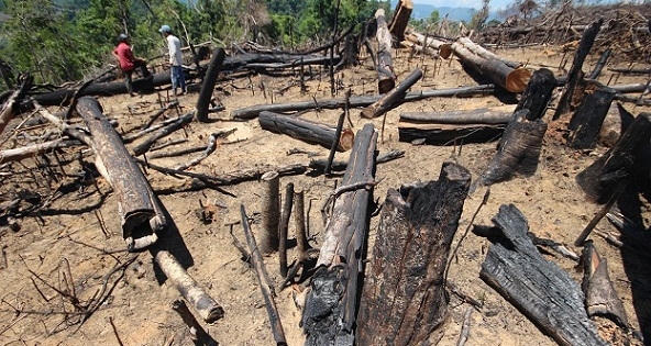 Địa ốc 24h: Great Dragon Hotel xây dựng gây nứt nhà dân, sang tên sổ đỏ không phải nộp thuế VAT