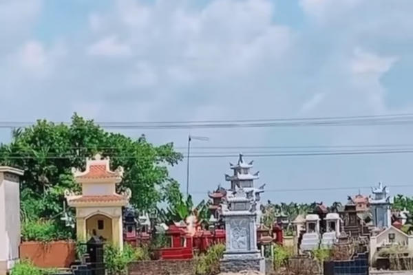 Hải Phòng: Đi bẫy chim, người đàn ông bị điện cao thế phóng xuống tử vong tại chỗ