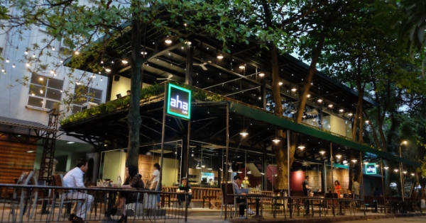 Bảo tàng Dân tộc học cho thuê nhà, đất trái pháp luật