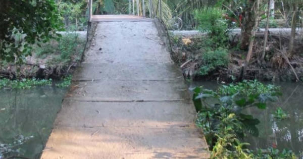 Tiền Giang: Thiếu nữ đoạt mạng người yêu vì bị tát giữa tiệc sinh nhật