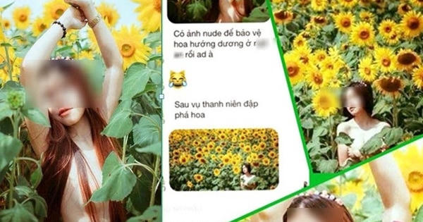Phá hoại xong quay ra chụp ảnh "nude" để bảo vệ hoa hướng dương