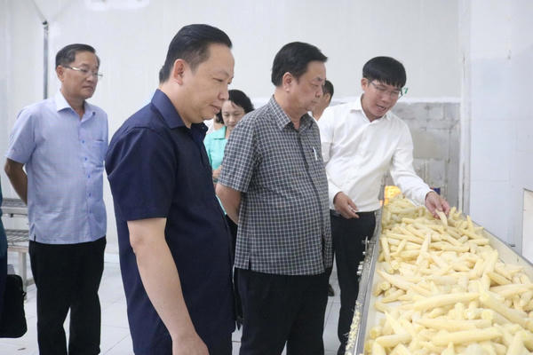 Phó Chủ tịch Quốc hội Lê Minh Hoan: An Giang cần đẩy mạnh đổi mới sáng tạo, phát triển sản xuất hiện đại để tạo đột phá mới