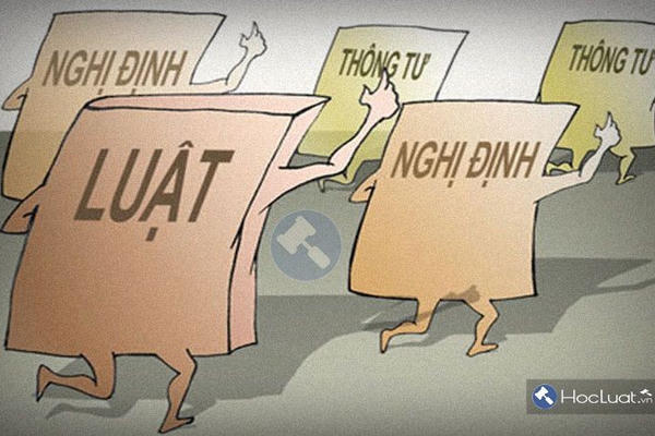 Quy định về tổ chức thi hành văn bản quy phạm pháp luật