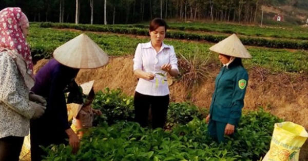 Thiếu biên chế cho dự án 600 Phó Chủ tịch xã trẻ
