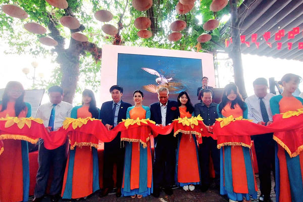 Khai mạc triển lãm “Nhạn và Hải âu Kiên Giang” của Anh hùng lao động Trần Lam