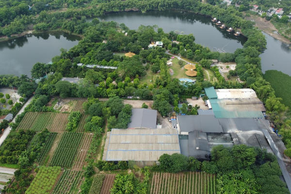 Hà Nội: Bồi thường 100% giá trị vật nuôi không thể di chuyển khi Nhà nước thu hồi đất