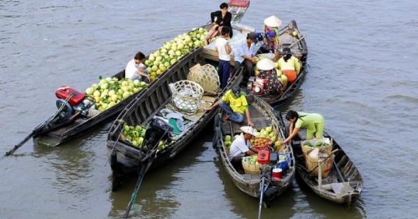 Ghe hàng ở miền Tây: Order theo yêu cầu, freeship tận nhà và trả góp lãi suất 0%