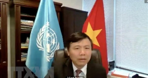 Việt Nam ủng hộ Colombia về giám sát thực thi thỏa thuận hòa bình Việt Nam ủng hộ Colombia về giám sát thực thi thỏa thuận hòa bình