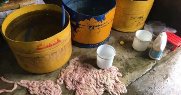 Đà Nẵng: Phát hiện hàng trăm kg nội tạng thối chờ đưa ra thị trường tiêu thụ Đà Nẵng: Phát hiện hàng trăm kg nội tạng thối chờ đưa ra thị trường tiêu thụ