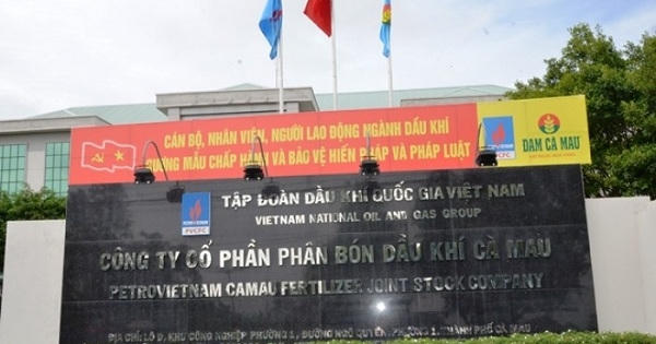 Phân bón Dầu khí Cà Mau - DCM bị phạt do kê khai thuế sai