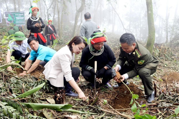Hỗ trợ kinh phí phát triển sinh kế, cải thiện đời sống người dân vùng đệm các khu rừng đặc dụng