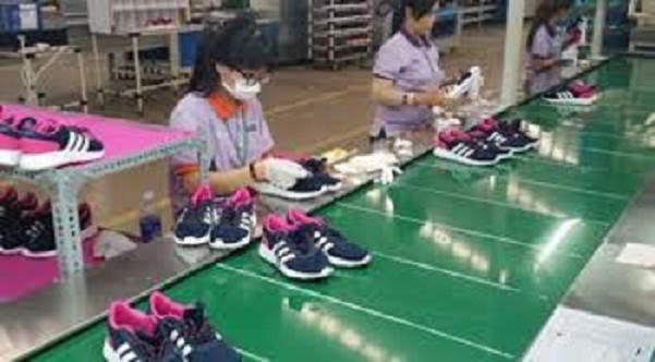 Nợ hơn 29,8 tỷ tiền thuế, Công ty TNHH Jooco Dona bị ngừng sử dụng hóa đơn
