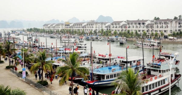 Quảng Ninh: Cương quyết xử lý các tàu du lịch vi phạm quy chế hoạt động