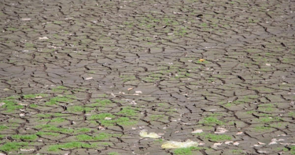 Ninh Thuận khô hạn, hồ thủy lợi cạn trơ đáy