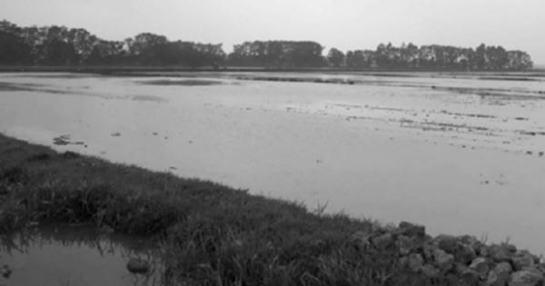 Thanh Oai, Hà Nội: Người dân yêu cầu làm rõ nguồn gốc đất khi thu hồi