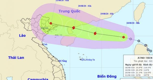 Áp thấp nhiệt đới khả năng mạnh lên thành bão, Bắc Bộ mưa rất to