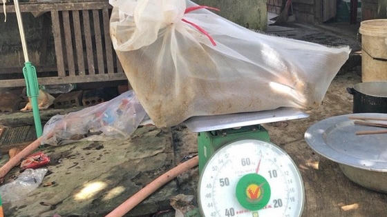 Bị phạt gần 300 triệu vì vận chuyển động vật quý hiếm