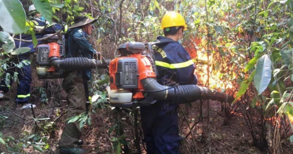 Liên tiếp xảy ra cháy rừng tại Nghệ An