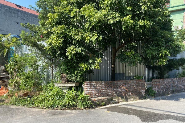 Quảng Ninh: Cần làm rõ quy trình cấp đất vườn cho một công dân Quảng Ninh: Cần làm rõ quy trình cấp đất vườn cho một công dân