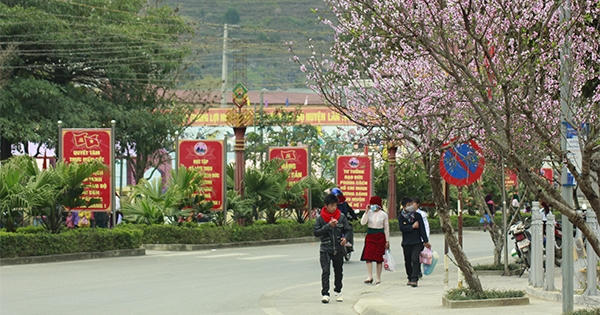 Hà Giang sắp tổ chức Lễ hội hoa Đào năm 2019