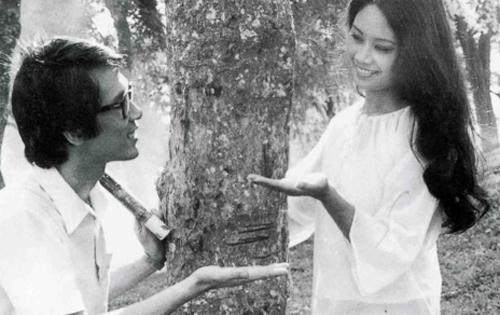 Các phim điện ảnh lấy bối cảnh chiến tranh biên giới 1979