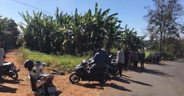Phát hiện nam thanh niên tử vong trong vườn chuối ngày cận Tết