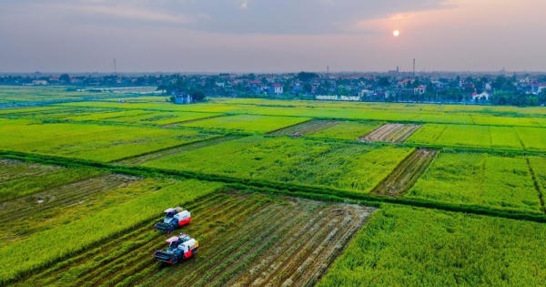 Hải Phòng: Xúc tiến đầu tư vào lĩnh vực nông nghiệp, nông thôn Hải Phòng: Xúc tiến đầu tư vào lĩnh vực nông nghiệp, nông thôn
