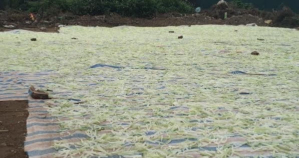 Mứt bẩn được phơi tràn lan trên đất, sát nhà vệ sinh