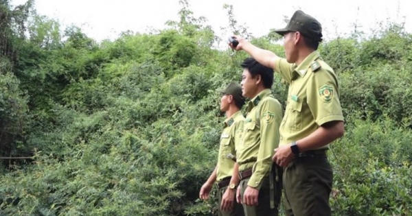Đồng Nai: Xây dựng dự thảo hỗ trợ người bảo vệ rừng