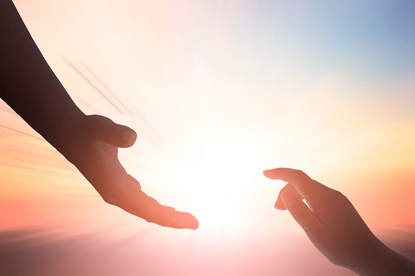 Sự thật về một kiếp người