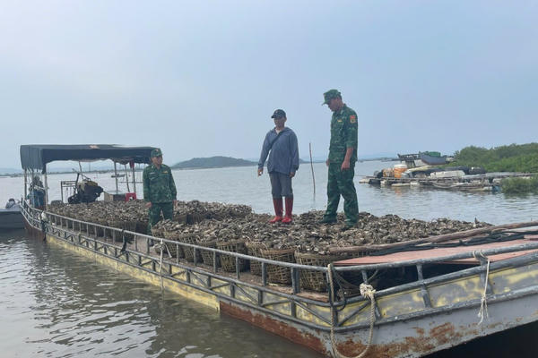 Phát hiện 4 tấn hàu từ Trung Quốc về Việt Nam bằng bè không biển số