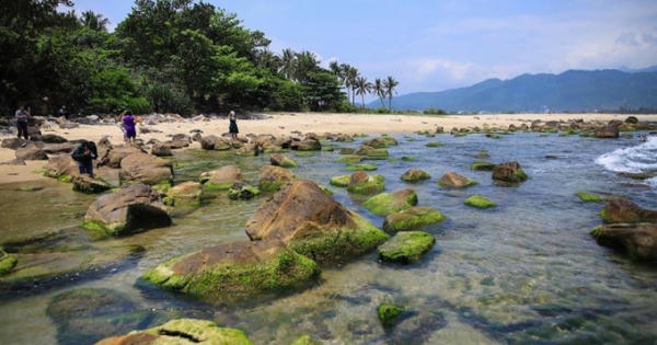 Đà Nẵng: Du lịch trải nghiệm bình minh trên vịnh Nam Ô bằng thuyền thúng