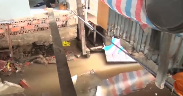 Cà Mau xin 1000 tỷ để xử lý khẩn cấp các điểm sạt lở đặc biệt nguy hiểm