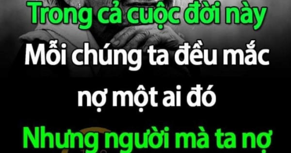 Tháng 7, cho những bông hồng cài áo… Tháng 7, cho những bông hồng cài áo…
