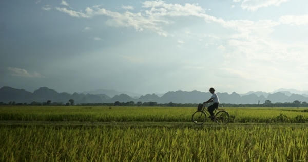 Hải Phòng: Dân bỏ ruộng đi làm công nhân
