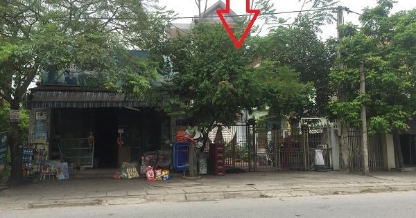 Hải Dương: Người cha già cay đắng đi đòi lại đất sau bản án ly hôn của con trai