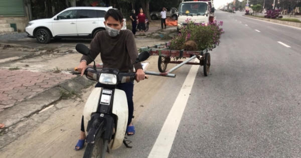 Người đàn ông "hồn nhiên" đánh cả xe kéo tự chế đi trộm cây cảnh trên quốc lộ