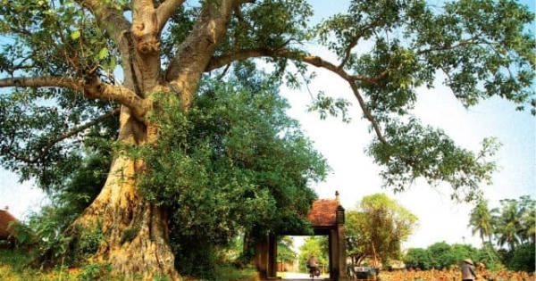 Định hướng phát triển quy hoạch kiến trúc nông thôn Việt Nam Định hướng phát triển quy hoạch kiến trúc nông thôn Việt Nam