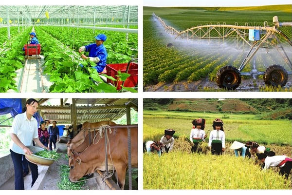 Tổng điều tra nông thôn, nông nghiệp năm 2025 trên phạm vi cả nước từ 1/7