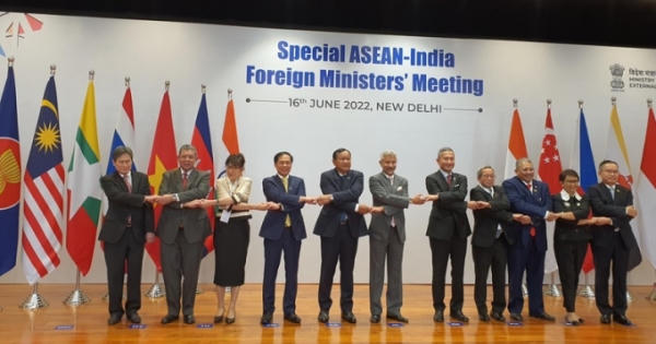 Bộ trưởng Bùi Thanh Sơn dự Hội nghị đặc biệt Bộ trưởng Ngoại giao ASEAN-Ấn Độ Bộ trưởng Bùi Thanh Sơn dự Hội nghị đặc biệt Bộ trưởng Ngoại giao ASEAN-Ấn Độ