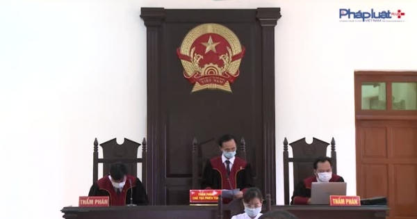 Sau phán quyết của Toà Tuyên Quang, người trồng chè tiếp tục kêu cứu Toà tối cao!